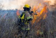 30-30-30: o alerta que todo bombeiro florestal teme ao combater incêndios