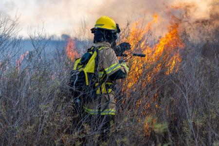 30-30-30: o alerta que todo bombeiro florestal teme ao combater incêndios