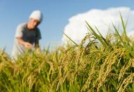 MP deixa 88% da dívida rural gaúcha sem acesso a crédito facilitado, aponta Farsul