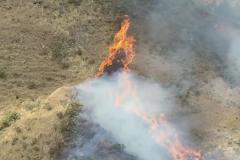 Incêndio de grandes proporções na Serra do Curral mobiliza força-tarefa dos bombeiros em BH