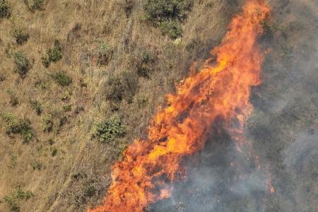 Incêndio de grandes proporções na Serra do Curral mobiliza força-tarefa dos bombeiros em BH
