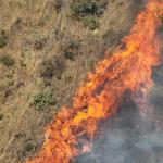 Após seis horas de combate às chamas, bombeiros controlam incêndio na Serra do Curral