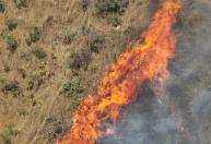 Após seis horas de combate às chamas, bombeiros controlam incêndio na Serra do Curral