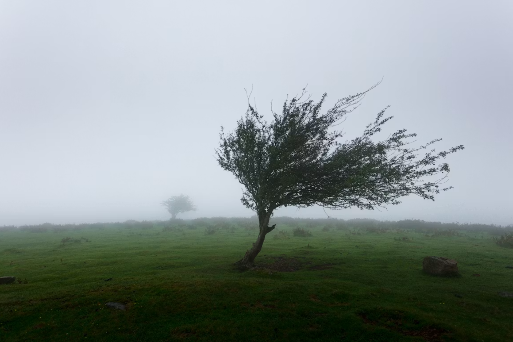 Cidades em Minas estão sob alerta para vendaval; confira quais