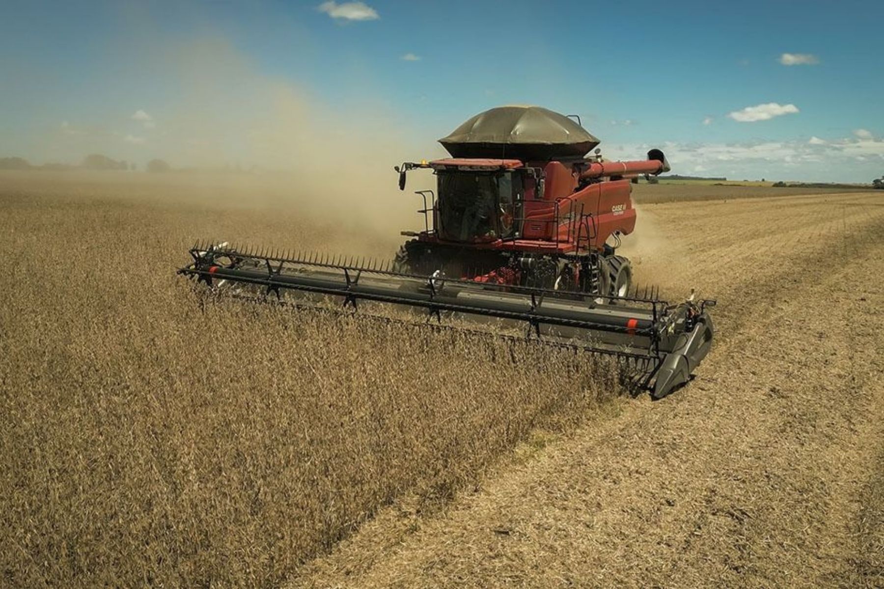 Plano Safra 2026/27 enfrenta críticas por cortes em linhas estratégicas do agro
