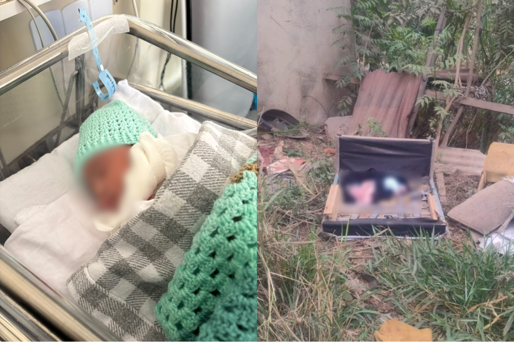 Vídeo: bebê encontrado por cachorro em lote vago na Grande BH recebe cuidados em hospital