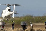A ilha da América Latina que se cansou dos ratos e recorreu aos helicópteros como estratégia