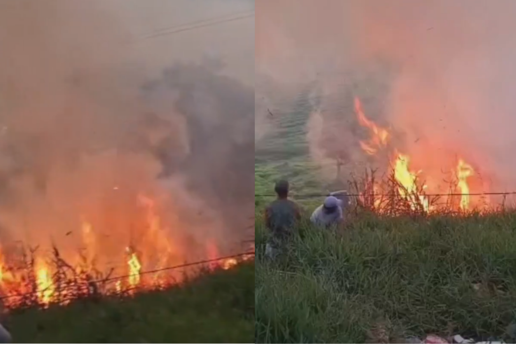 Festa de chá revelação termina em incêndio e destrói vegetação de rancho na Bahia