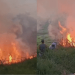 Festa de chá revelação termina em incêndio que destrói vegetação de rancho na Bahia