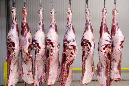 Cota da carne brasileira na China atinge 78,9% e volume deve superar limite