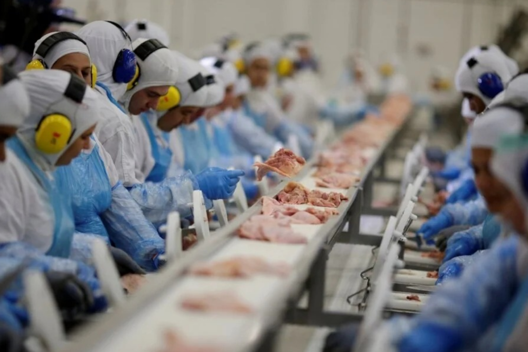 Setor de proteínas animais projeta crescimento da produção e das exportações