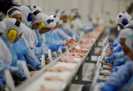 Setor de proteínas animais projeta crescimento da produção e das exportações