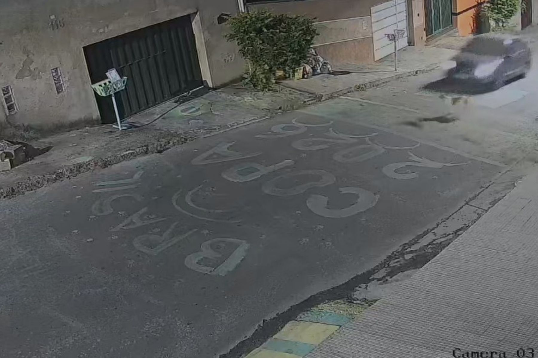 Vídeo: motorista atropela cão e não presta socorro em Vespasiano