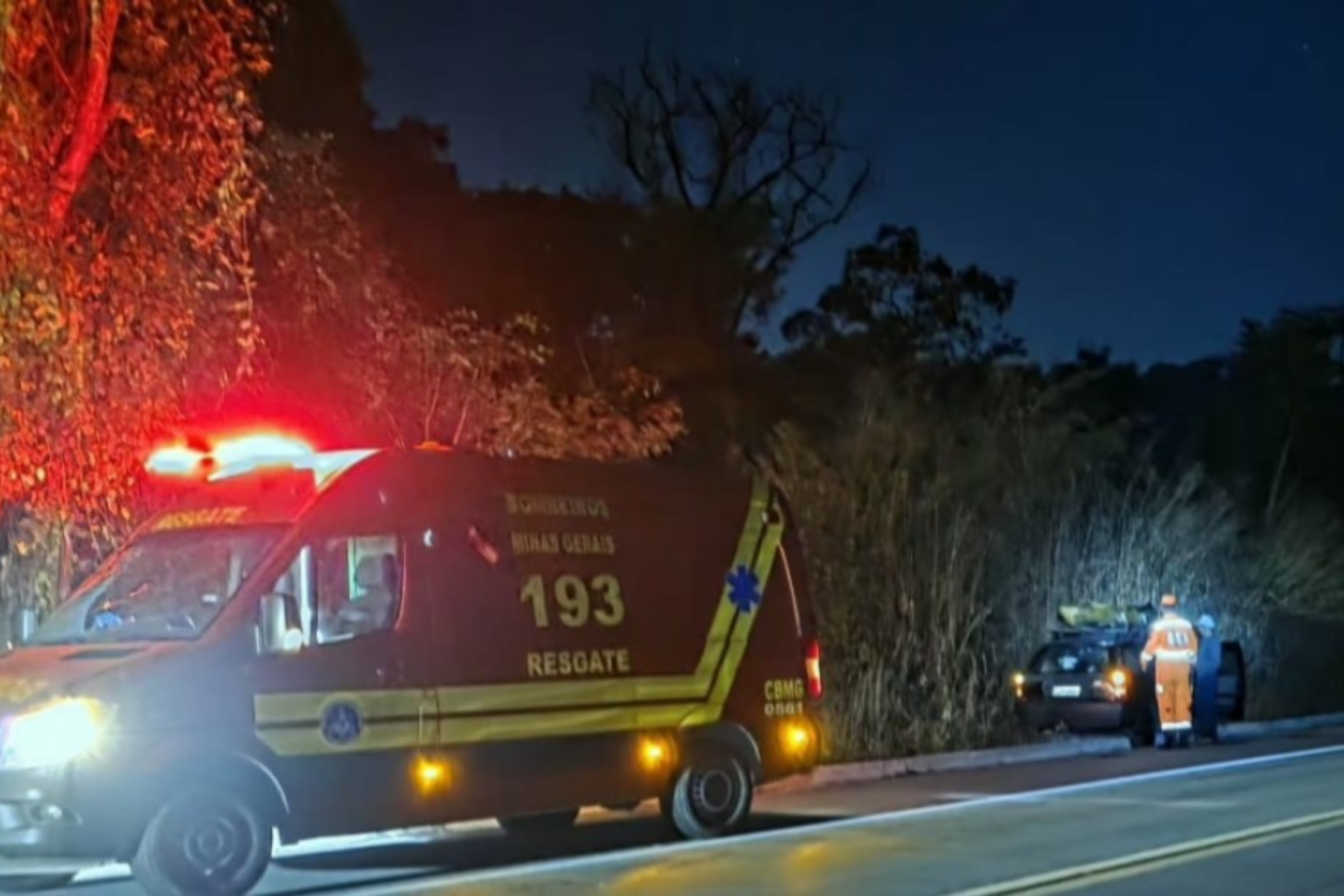 MG: três pessoas ficam feridas após carro bater em vaca na BR-494