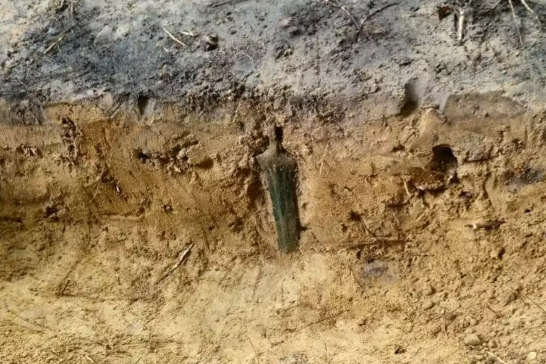 Espada de bronze de 2.700 anos encontrada na Polônia revela práticas rituais milenares