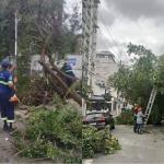 Ventania de 111,8 km/h deixa uma pessoa morta e cenário de destruição em Santos-SP