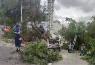 Ventania de 111,8 km/h deixa uma pessoa morta e cenário de destruição em Santos-SP