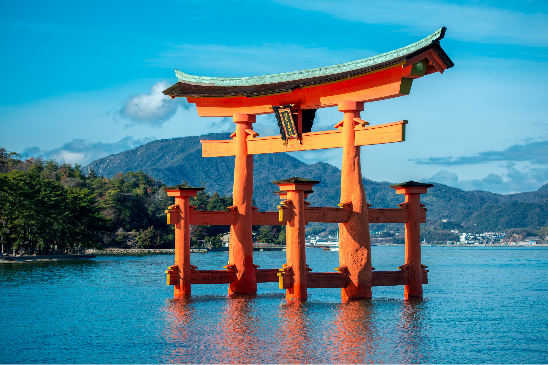 Descubra o que diz o provérbio japonês sobre crescimento, prudência e resiliência