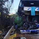 Acidente entre ônibus e caminhão deixa duas mulheres mortas e feridos na BR-267, em MG
