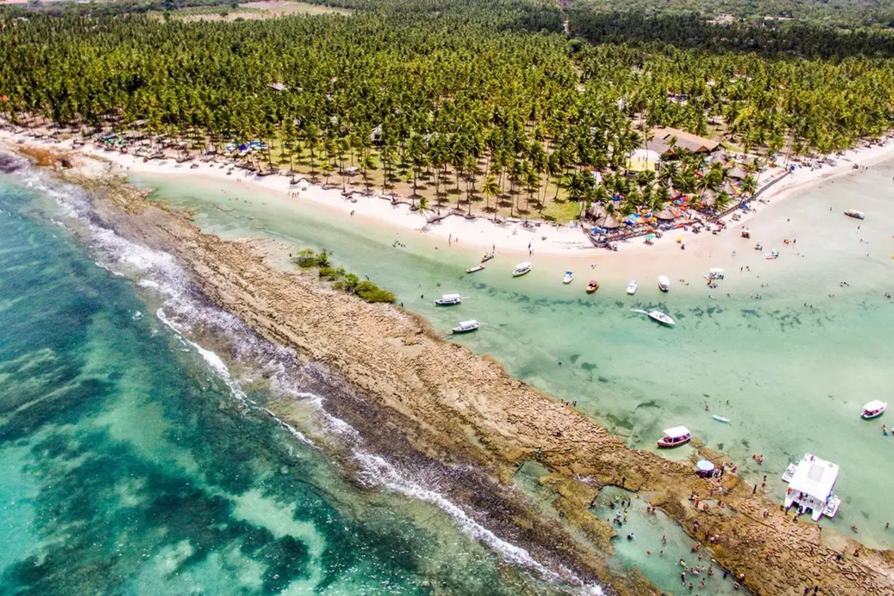 Poluição sonora nos mares: barulho de barcos e de turistas prejudica a comunicação dos peixes
