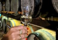 Cachaça do Circuito das Águas Paulista recebe registro de Indicação Geográfica