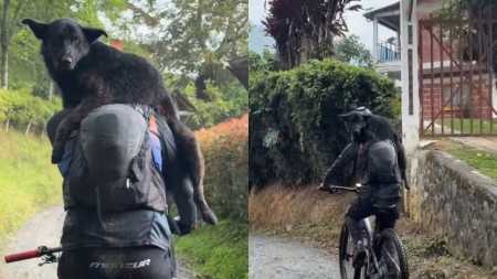 Ciclista leva cachorro nas costas