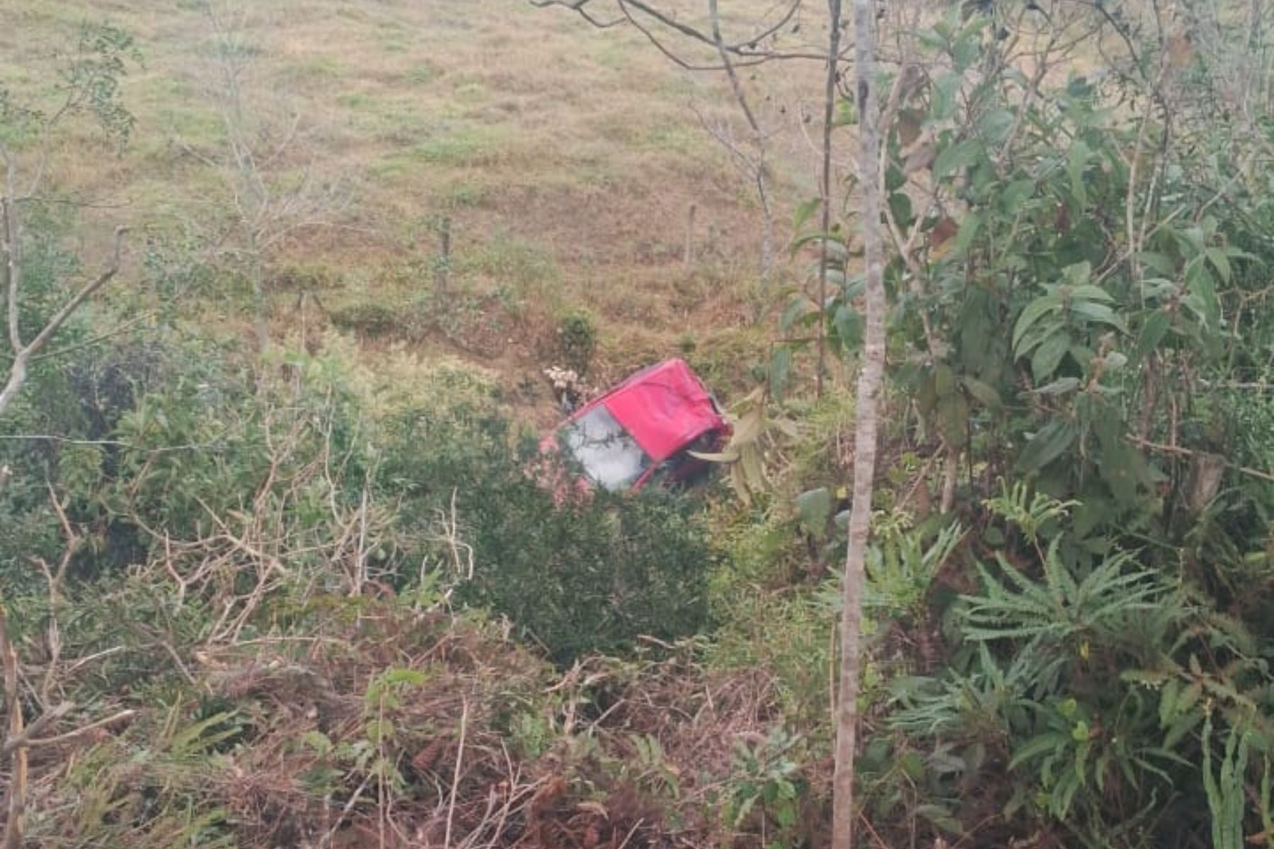 Motorista morre após carro cair em ribanceira na Zona da Mata