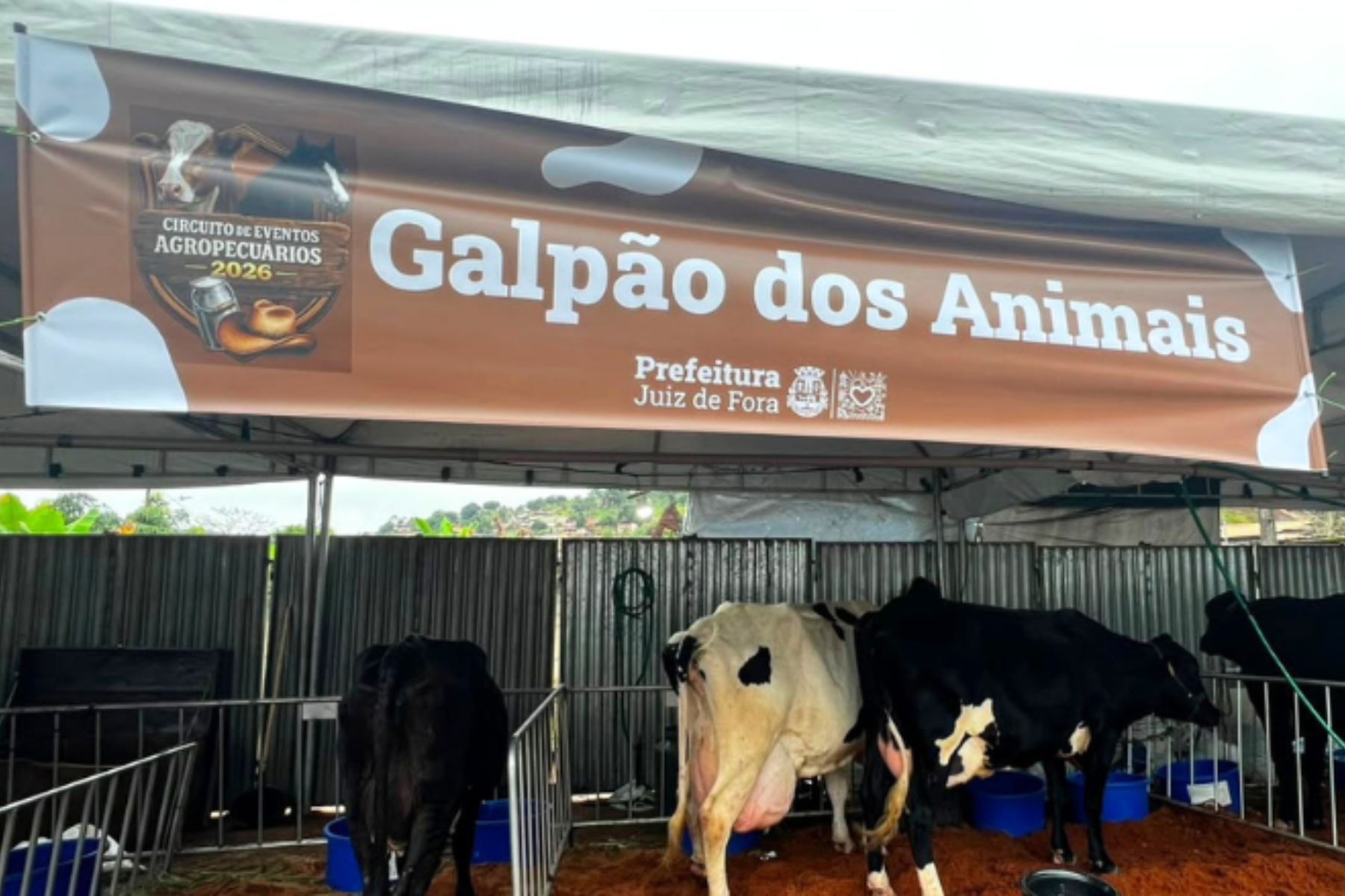 Juiz de Fora terá rodada dupla de torneios leiteiros neste fim de semana