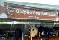 Juiz de Fora terá rodada dupla de torneios leiteiros neste fim de semana