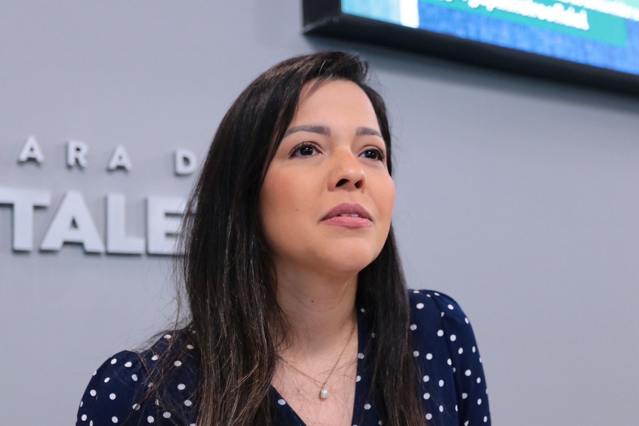 Pivô de crise entre Michelle e Flávio desiste da disputa ao Senado pelo Ceará