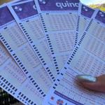 Resultado Quina 7073: veja números sorteados; prêmio é de R$ 14 milhões