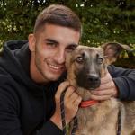 Herói da Espanha na Copa do Mundo, Ferran Torres também se dedica a cães abandonados