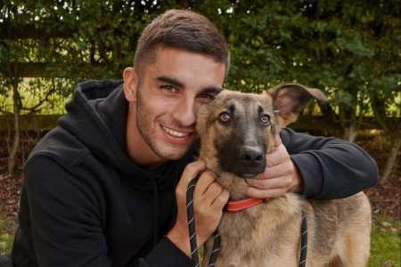 Herói da Espanha na Copa do Mundo, Ferran Torres também se dedica a cães abandonados