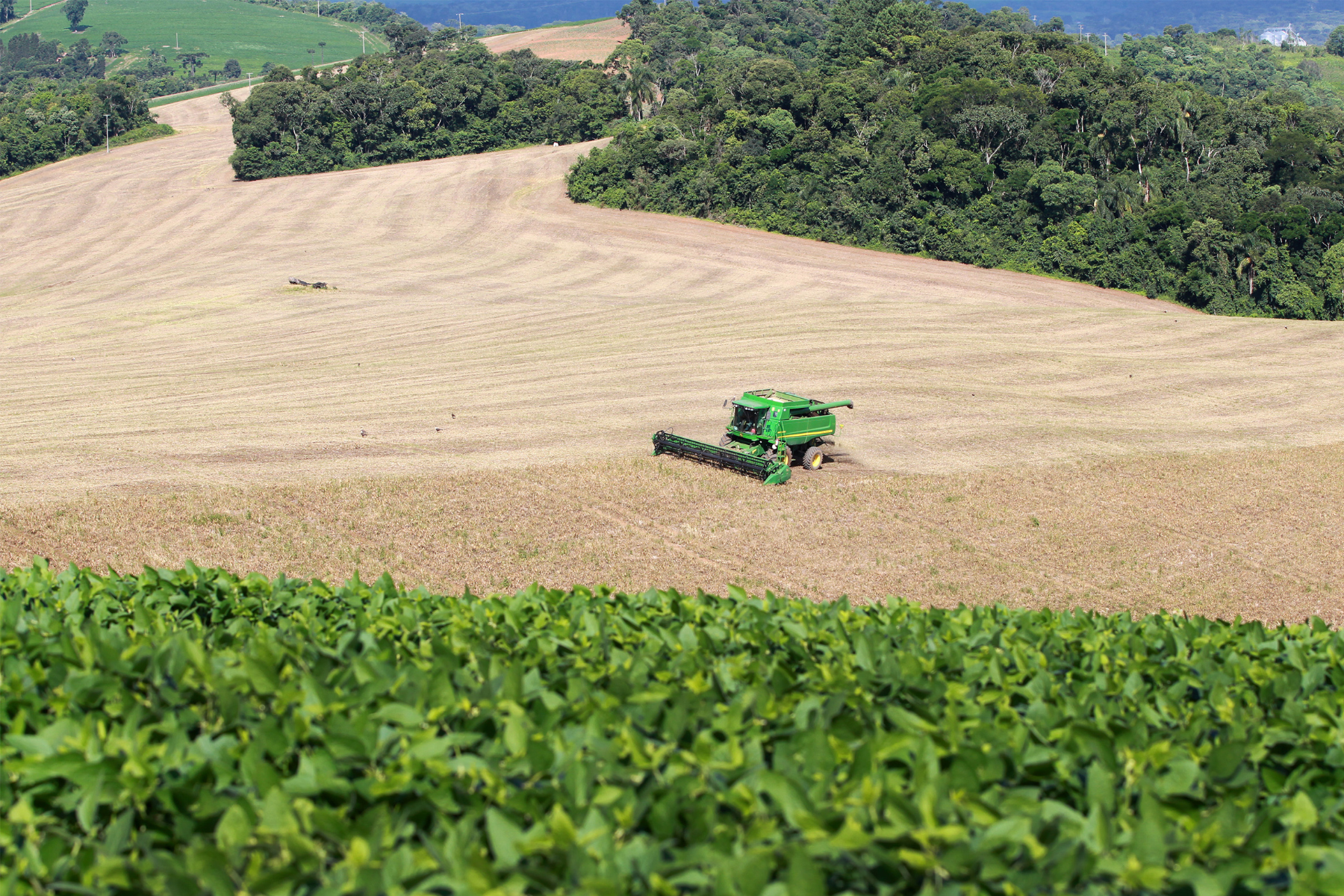Valor Bruto da Agropecuária do Paraná dobra em seis anos e chega a R$ 212,6 bi