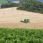 Valor Bruto da Agropecuária do Paraná dobra em seis anos e chega a R$ 212,6 bi