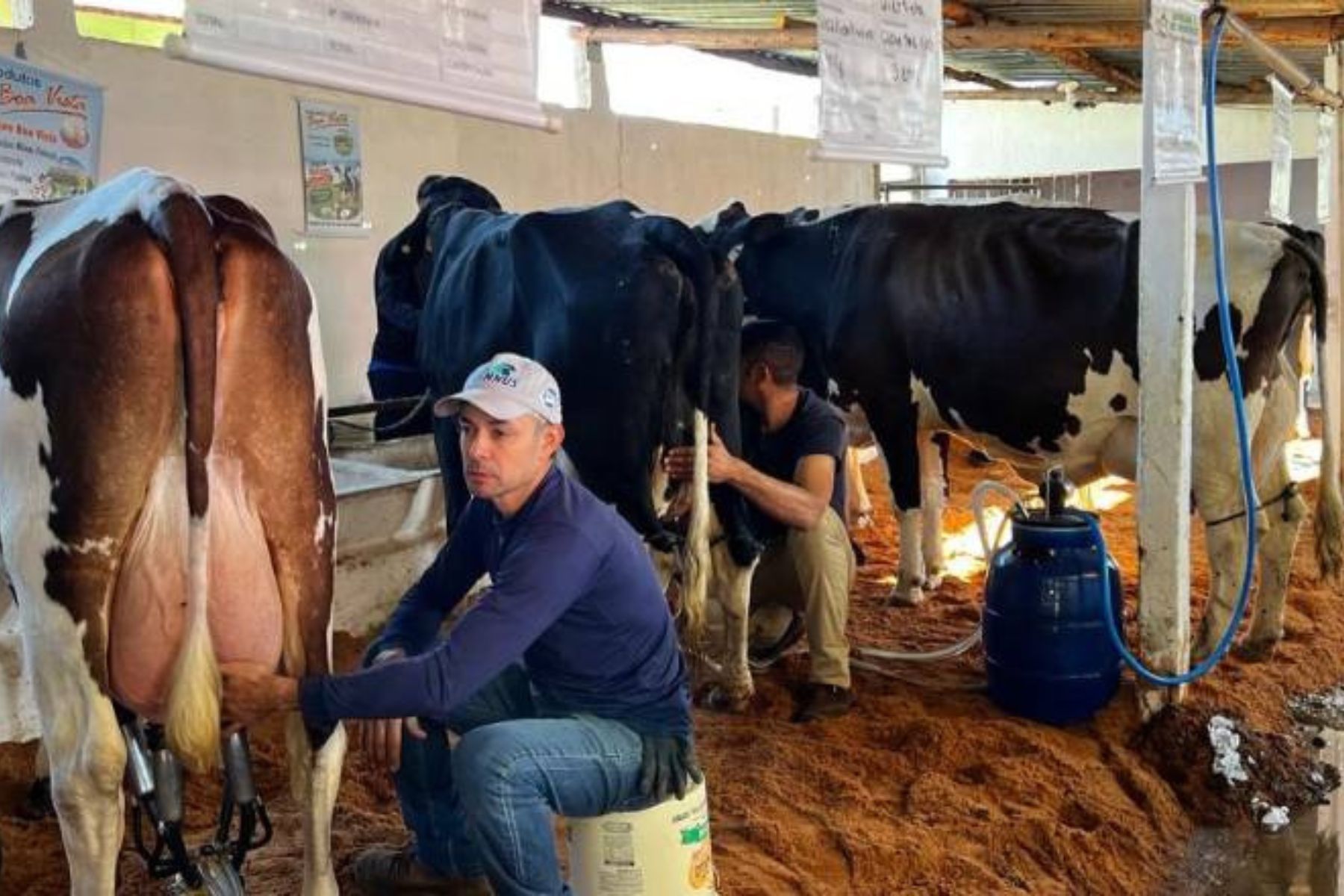 40ª Expo Feira de Gado Leiteiro movimenta Distrito de Torreões em Juiz de Fora