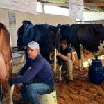 40ª Expo Feira de Gado Leiteiro movimenta Distrito de Torreões em Juiz de Fora