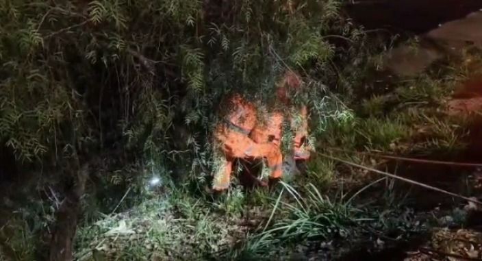 Vídeo: bombeiros resgatam homem que caiu no Rio Arrudas, em BH