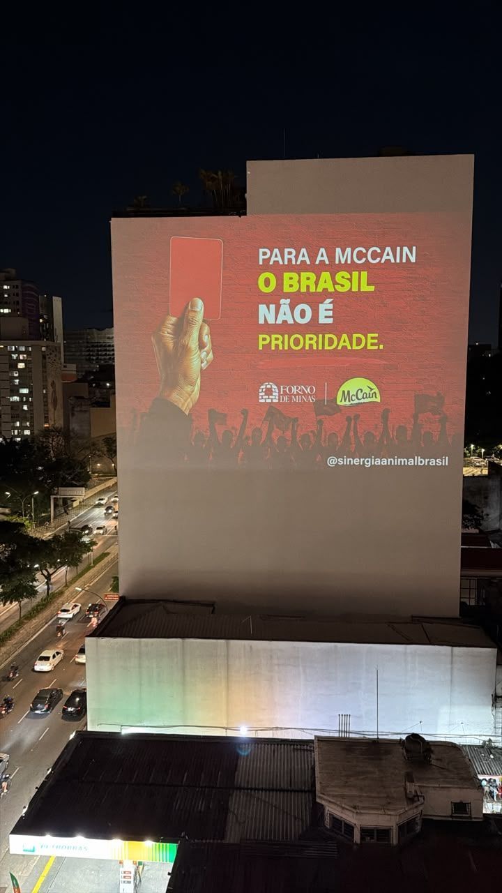 McCain prorroga meta para banir ovos de galinhas presas e vira alvo de protesto