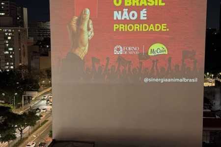 McCain prorroga meta para banir ovos de galinhas presas e vira alvo de protesto