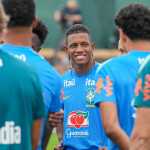 Palmeiras apresenta proposta por Danilo e aguarda resposta do Botafogo