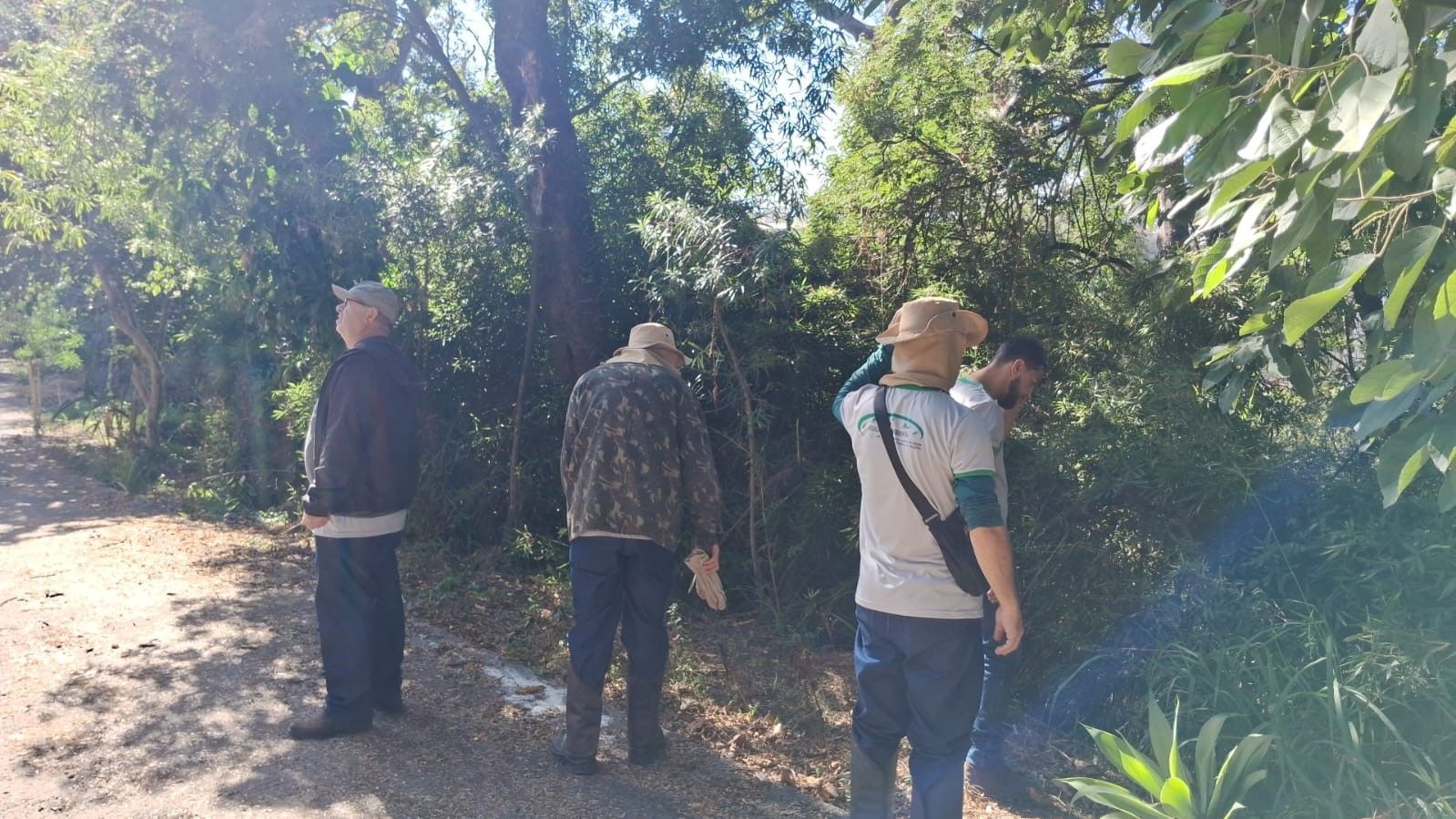 Vigilância Ambiental de Varginha monitora matas à procura de macacos com febre amarela