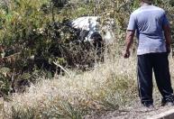 Jovem morre após capotamento na MGC-654, em Brasília de Minas