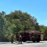 Ônibus é destruído por incêndio na BR-365, em Montes Claros