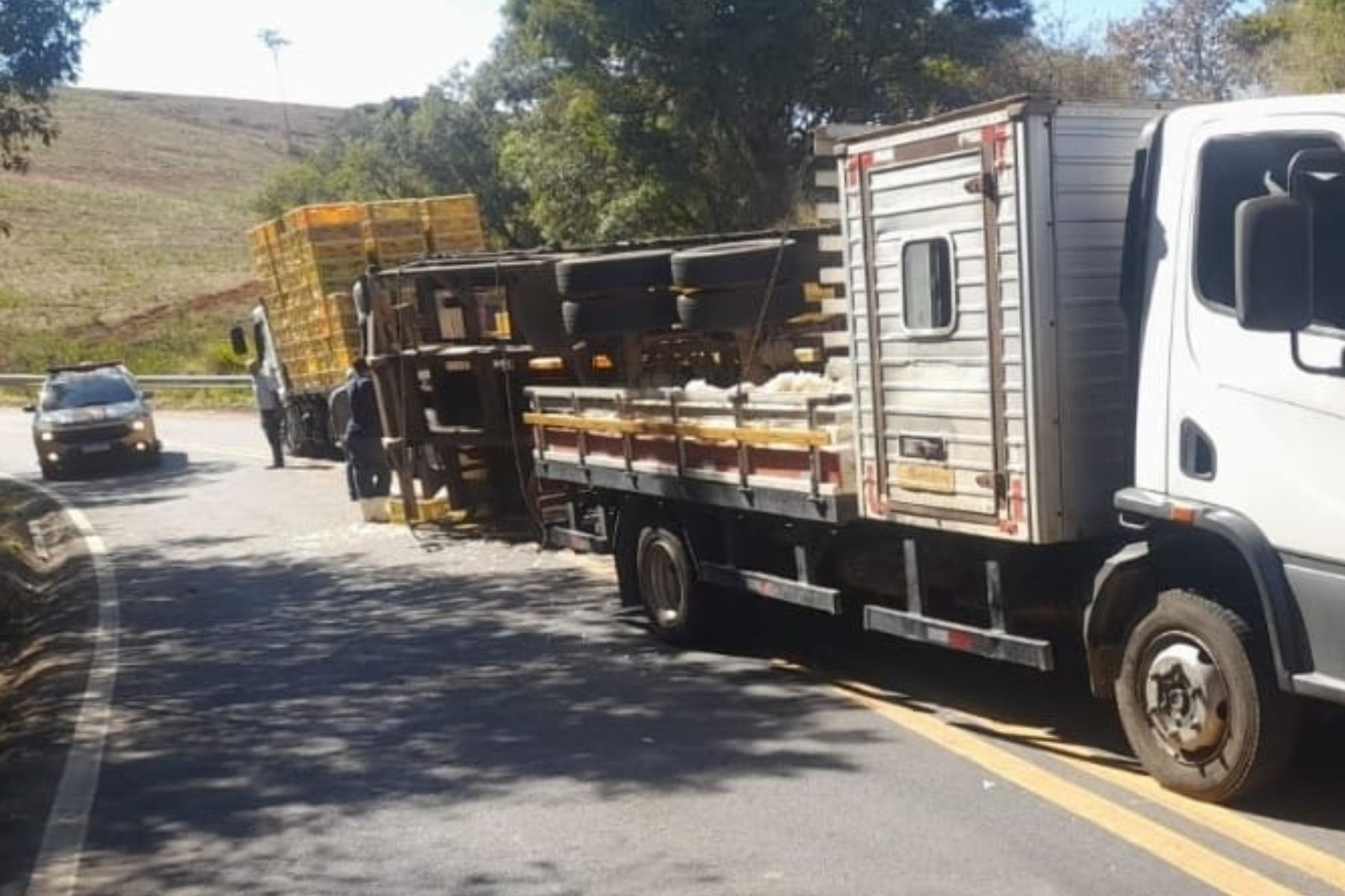 Caminhão carregado com aves tomba em rodovia no Campo das Vertentes