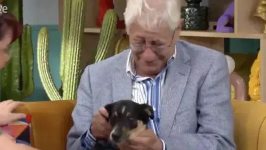 idoso coloca cachorro para adocao