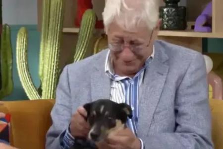 Idoso abre mão de cachorro por amor e comove milhares de pessoas