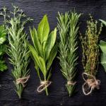 O truque caseiro que promete conservar ervas aromáticas durante o inverno sem perder o sabor