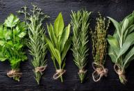 O truque caseiro que promete conservar ervas aromáticas durante o inverno sem perder o sabor