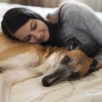 Por que os cachorros gostam de dormir grudados nos donos? Entenda o motivo